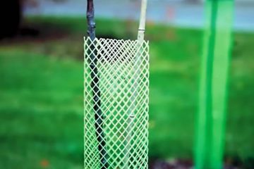 Tree Guard net